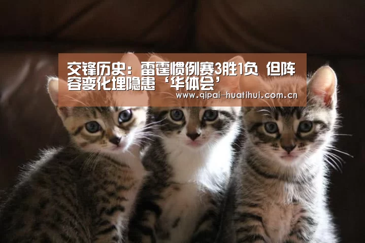 华体会